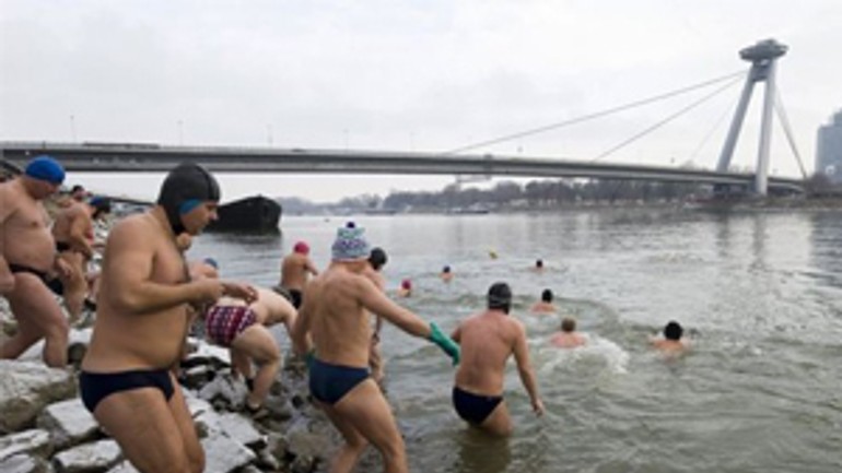 Otužilci preplávali v dunaji jeden kilometer - ladove_medvede