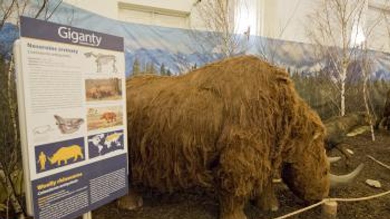Foto: výstava giganty ľadovej doby je už prístupná verejnosti - t_20170217_snm_giganti_03405984