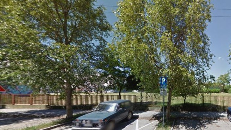 Video: v devínskej vyrúbali 20-ročné stromy a ľudia nechápu prečo... - Stromy