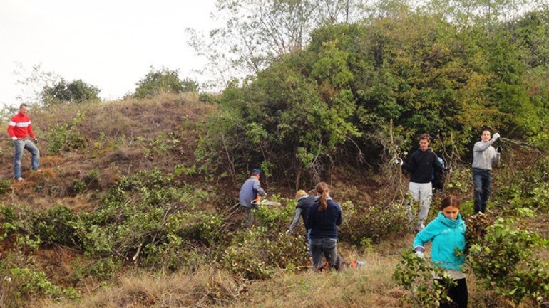 Prírodná rezervácia devínska kobyla sa bude v sobotu čistiť - kobyla_cistenie