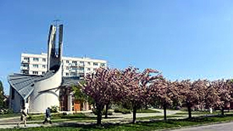 Súkromné vlastníctvo je nadovšetko? - stromoradie