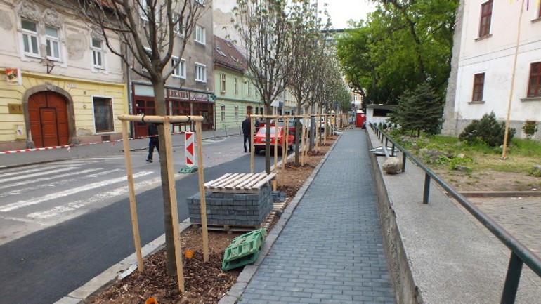 Palackého ulica je mesiac od výrubu dokončená, nový je aj druh záhonu - palackeho