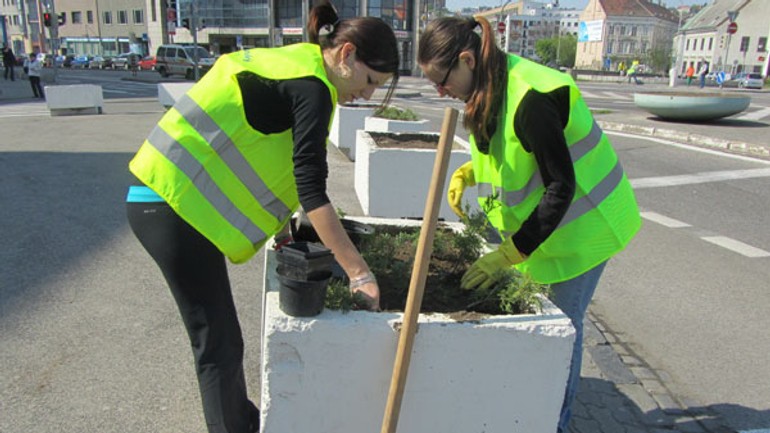 Okrášľovací spolok chce vysádzať zeleň - Sadenie1