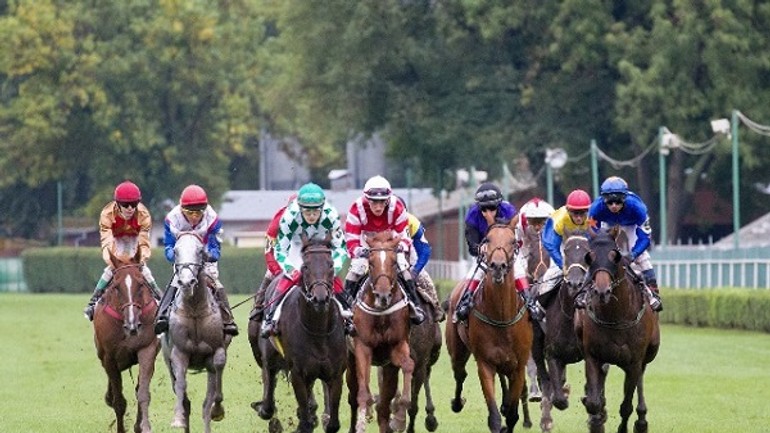 Na petržalskom závodisku bude aj tento rok poriadne rušno - ZAvodisko