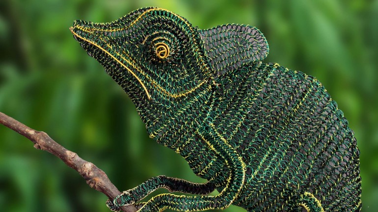 Drôtený chameleón