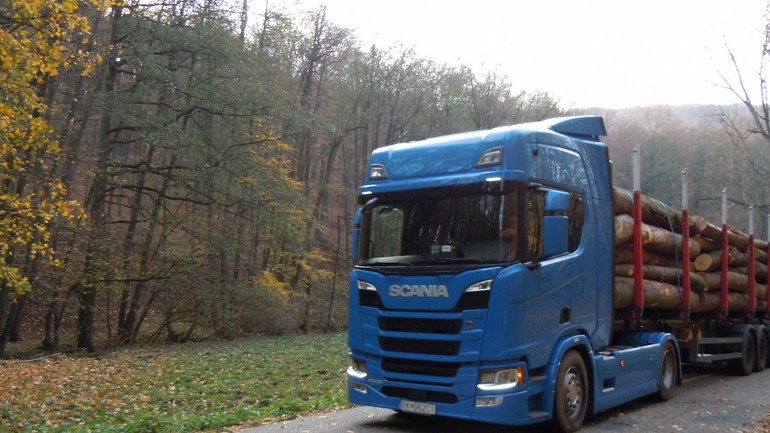 Ťažba dreva na Železnej studničke