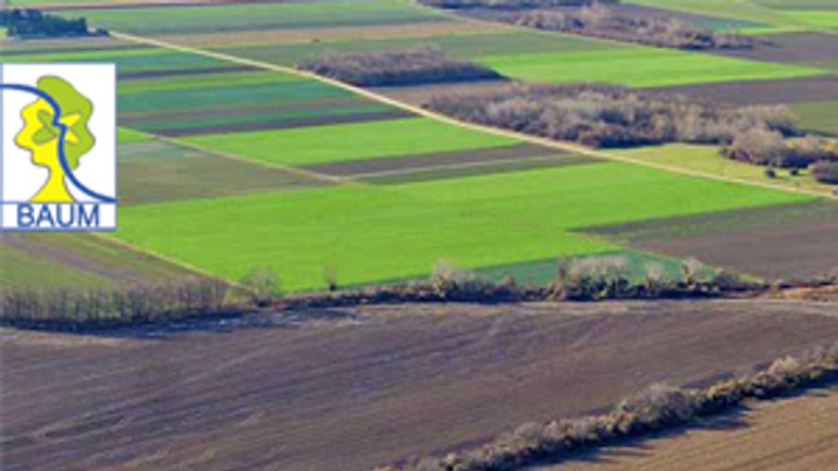 Za dunajom chcú južný park s kúpaliskom - baum1
