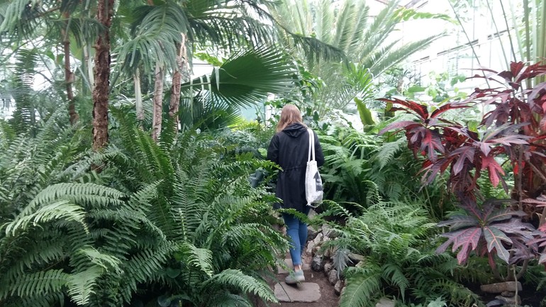 Botanická záhrada v Bratislave