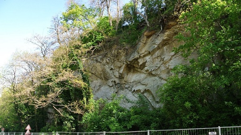 Zo skalného svahu nad devínskou cestou odstraňujú náletové dreviny - DSC_3193