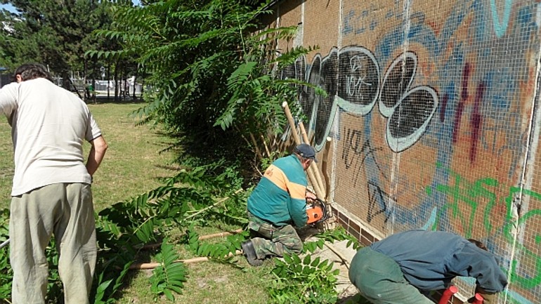 V petržalke ožije napoleon v rukách sprejerov - Graffiti