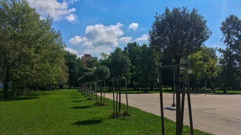 Stromy sadené na jar 2018 na Budatínskej 3