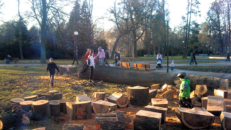 V sade janka kráľa vyrúbali mohutný strom - Sad1