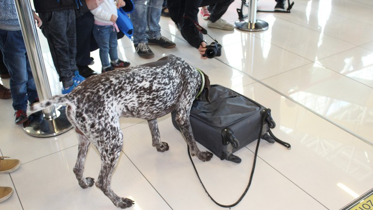 Deň otvorených dverí na letisku BTS