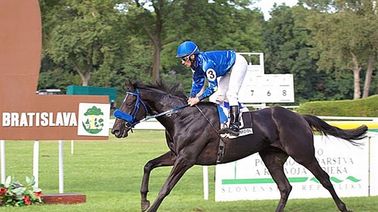 Slovenské derby pre nemeckého hnedáka maximool - Maximool