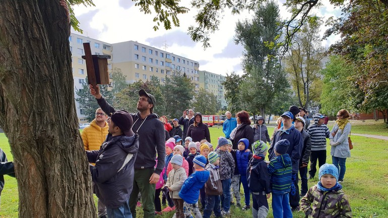 Osadenie vtáčích búdok