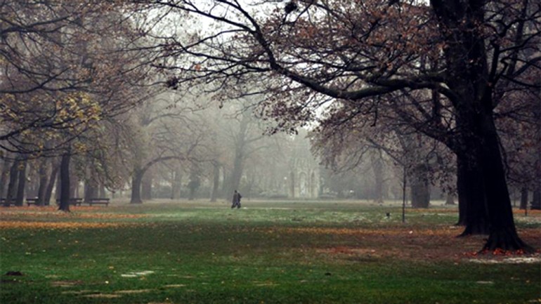 Príkladná starostlivosť o sad j. kráľa - sad_jkrala1