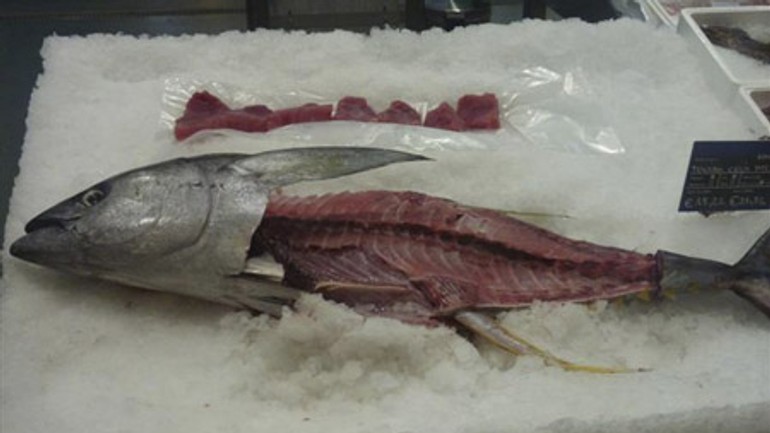 Metro devínska nová ves pozýva na the big fish day - Metro5