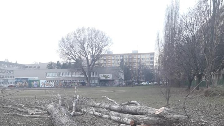 Stromy Gymnázium I.Horvátha