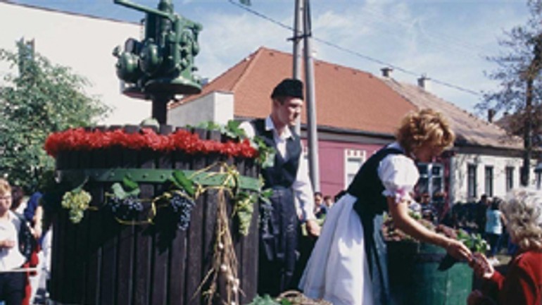 V rači bude cez víkend tradičné vinobranie - Vinobranie raca