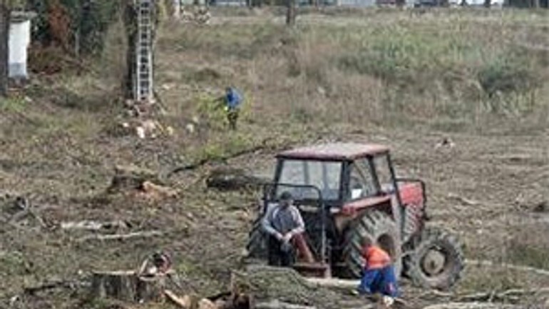 No tehelnom poli sa pracuje - tehelne_stadion_vyrub