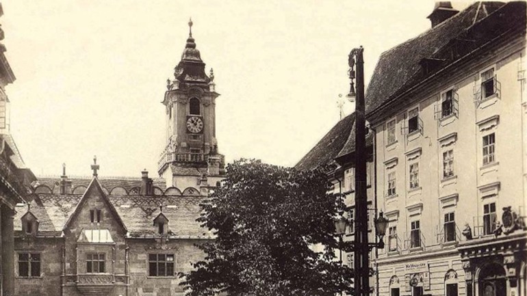 Lipu nechal vyťať primátor v 70. rokoch - kedysi17_1