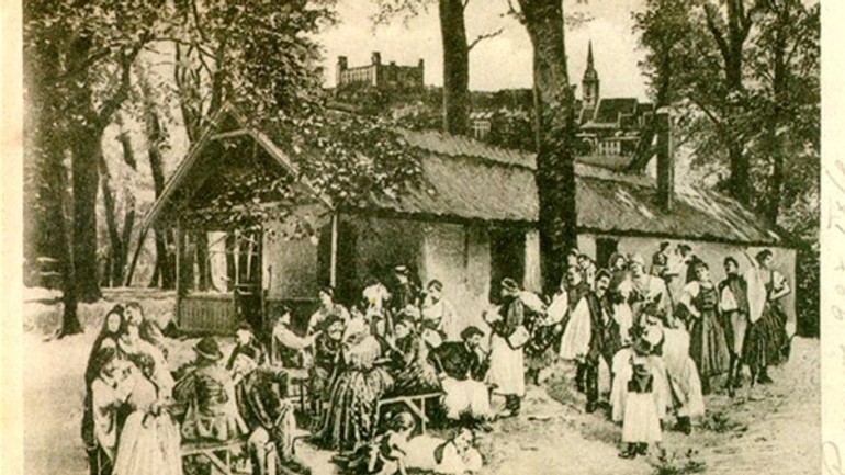 V auparku bola celouhorská výstava - kedysi2401