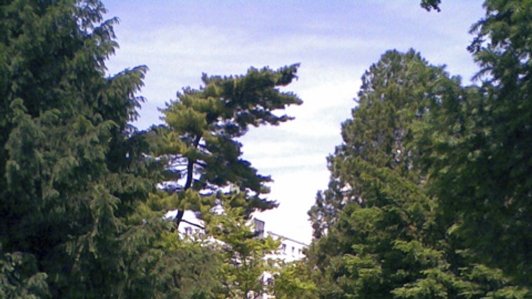 Parčík pred avionom bol malou botanickou záhradou v centre - pamatnik3