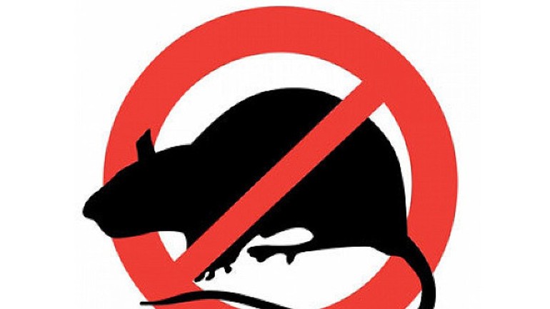 Hlodavcom odzváňa, začína sa deratizácia - deratizacia