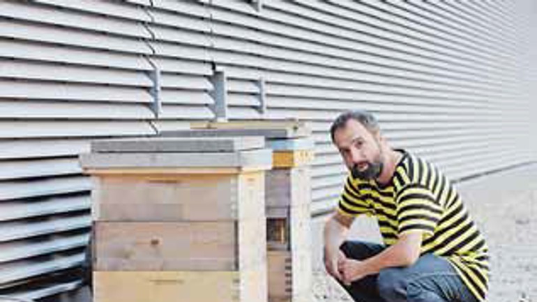 Aj bratislava má svoje včely, úle už pribúdajú priamo v centre mesta - vcely