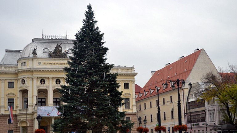 Vianočnými stromčekmi sú v centre jedle - jedla1