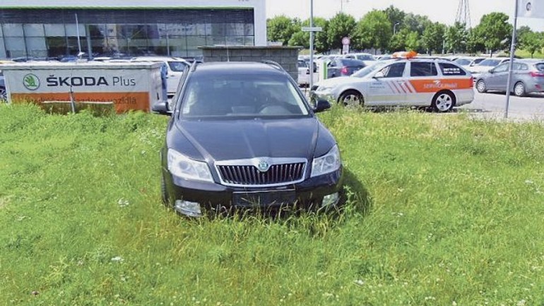 Stáť na trávniku nie je beztrestné, riešiť to musí aj vlastník pozemku - zelen1
