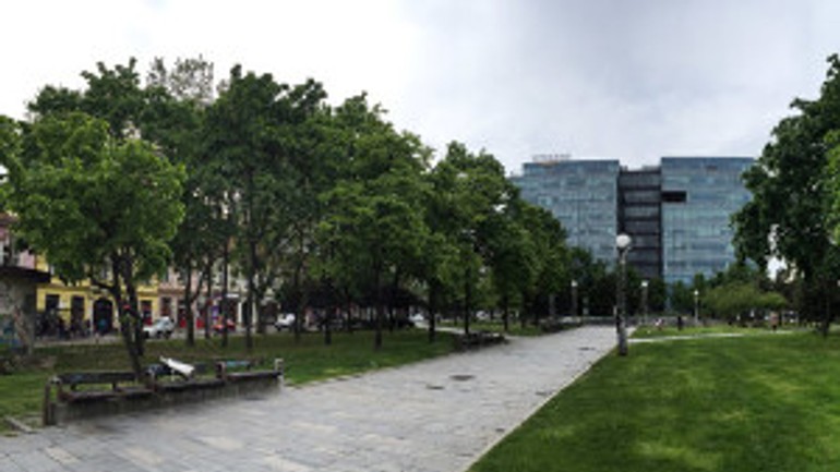 Aktivisti varujú pred výrubom stromov na kollárovom námestí - kollarko