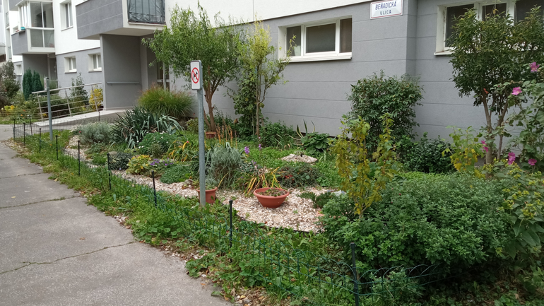 Predzáhradka Beňadická