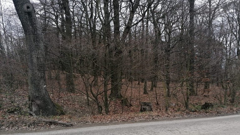 Cesta na Kamzík Koliba