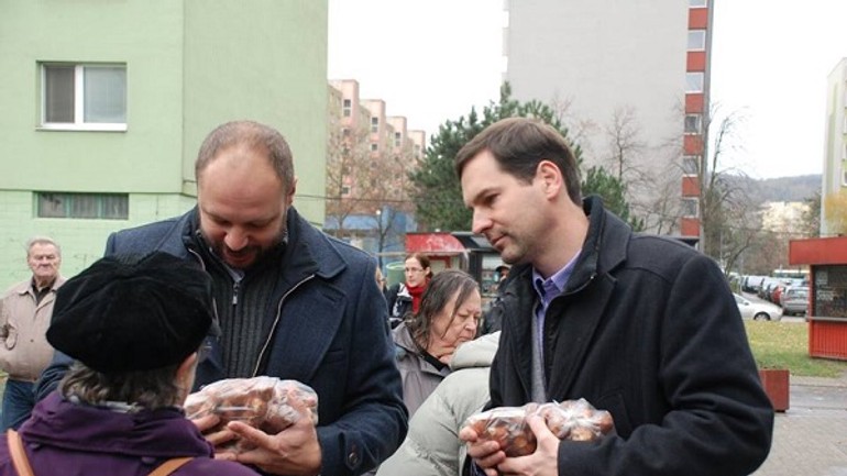 Starosta zaťovič rozdával cibuľky tulipánov - tulip3