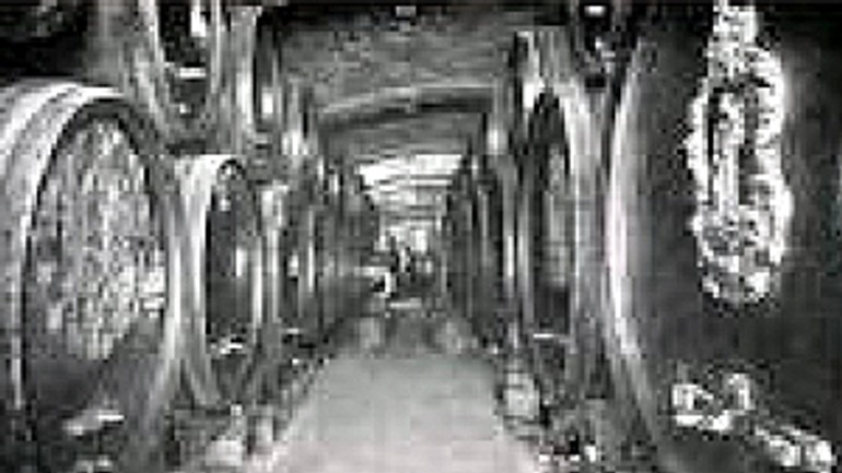 Vínovod viedol z pivnice až na vlakovú stanicu - Palugyay pivnica