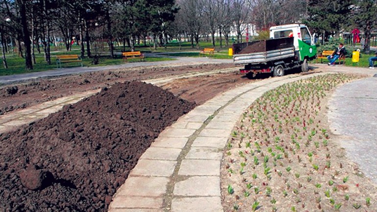 V parku na račianskom mýte vysadili až 3500 nových ruží - racianske1