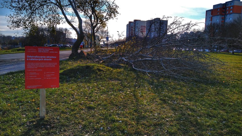 výrub Petržalka električka