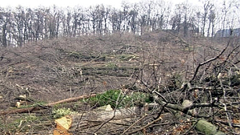 Aj pre kauzu na kolibe chce mesto do správy štátne lesy - koliba_vyrub2