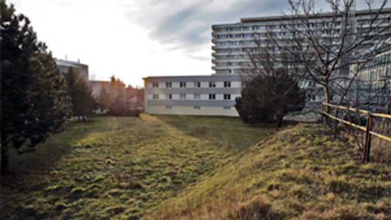 Za parkoviskom sa skrýva iný zámer - jahodova