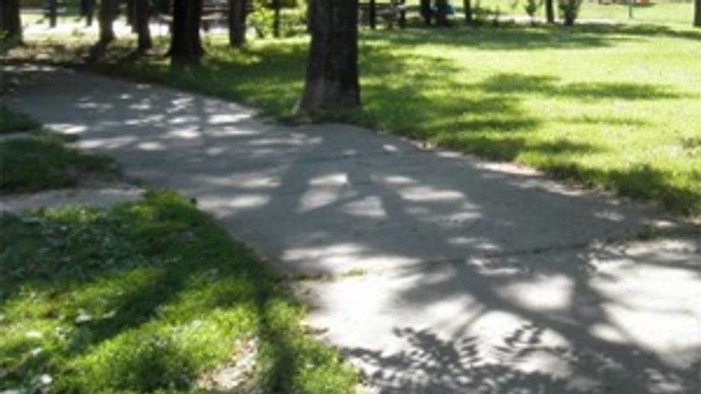 Burinu z račka dá magistrát odstrániť v júli - Racianske