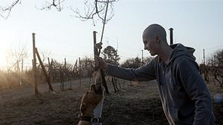 Febiofest otvorí slovenský film môj pes killer - moj_pes_killer