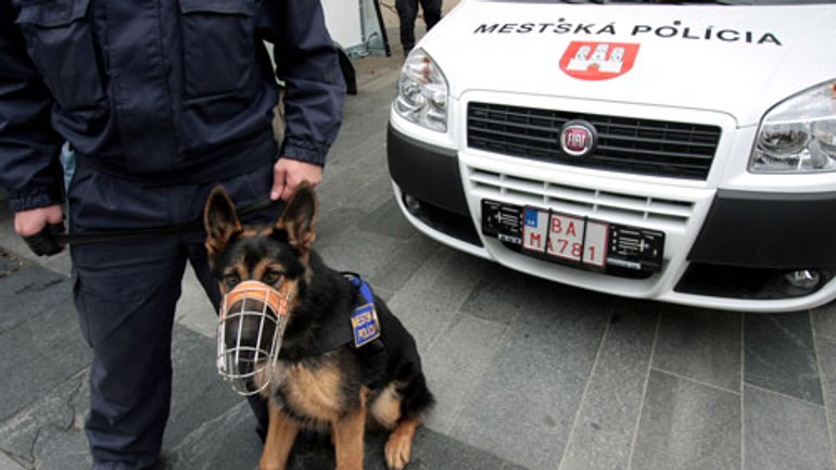 Počas hodov budú na verejný poriadok dozerať aj kynológovia - msp_pes