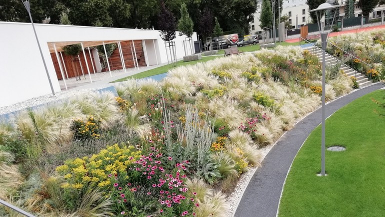 Park Jama v Novom Meste