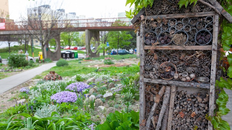 Predzáhradka na Vavilovovej