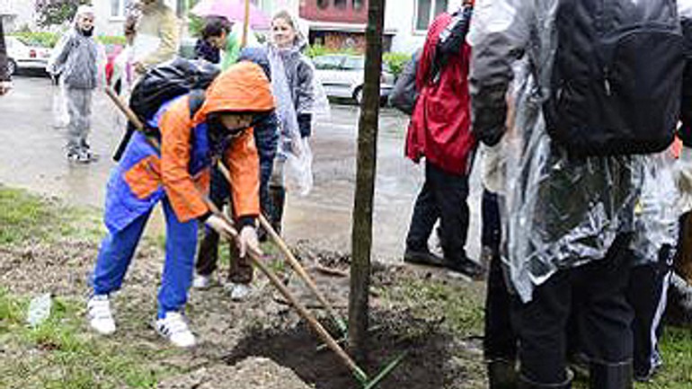 Na riazanskej ulici vysadili žiaci deväť nových stromov - riazanska_stromy