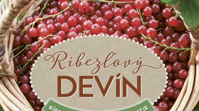 Devínom sa bude v sobotu niesť vôňa ríbezlí - ribezlovy_devin