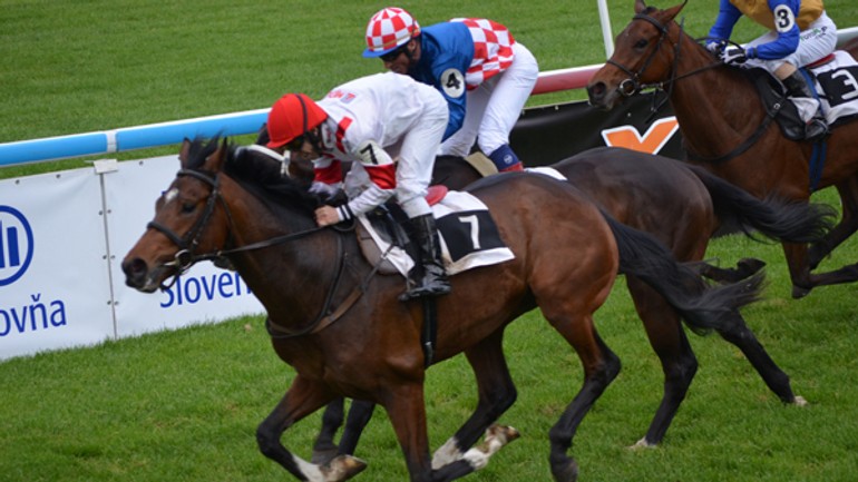 Víťazom ceny bratislavských novín rousseau - dostihy_bn