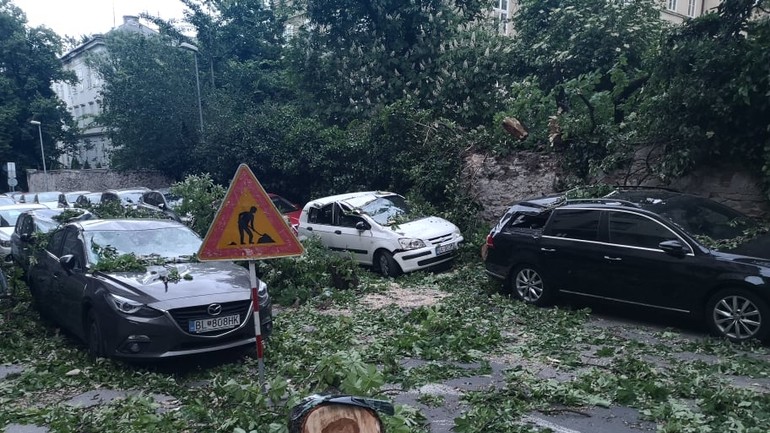 Spadnutý strom na Zochovej