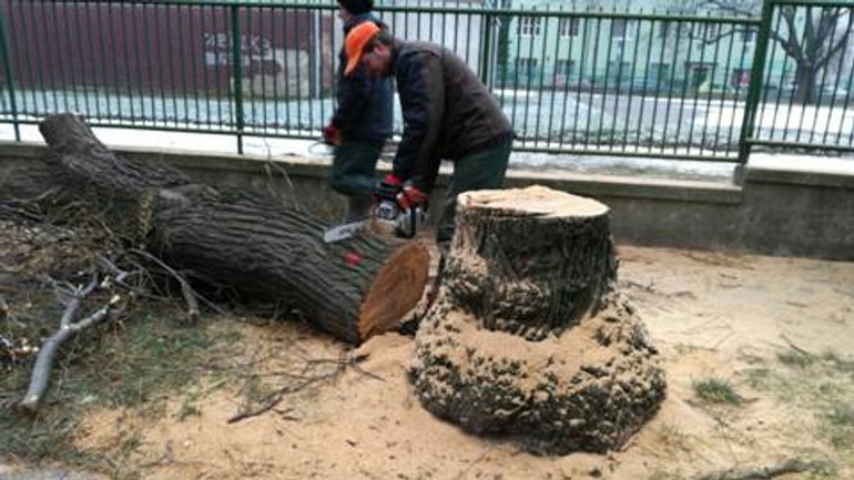 Budysinska - image008